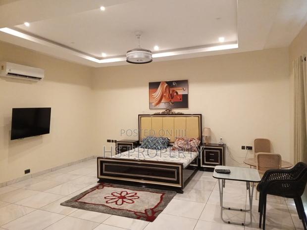 Furnished 4bdrm House in Cantonments for rent photo 5