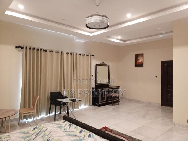 Furnished 4bdrm House in Cantonments for rent photo 6