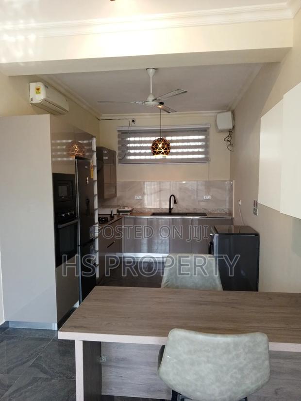 Furnished 4bdrm House in Cantonments for rent photo 20