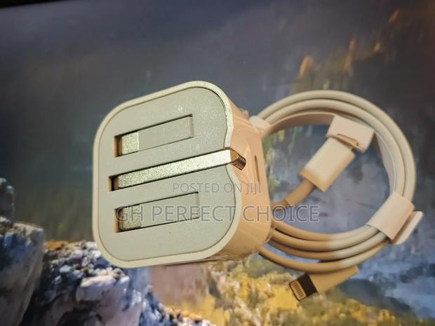 Premium iPhone Type C 3-pin Fast Charger