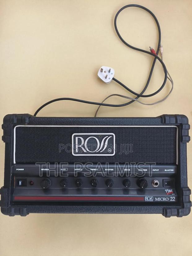 Ross Micro 22 Blaster Amp photo 4
