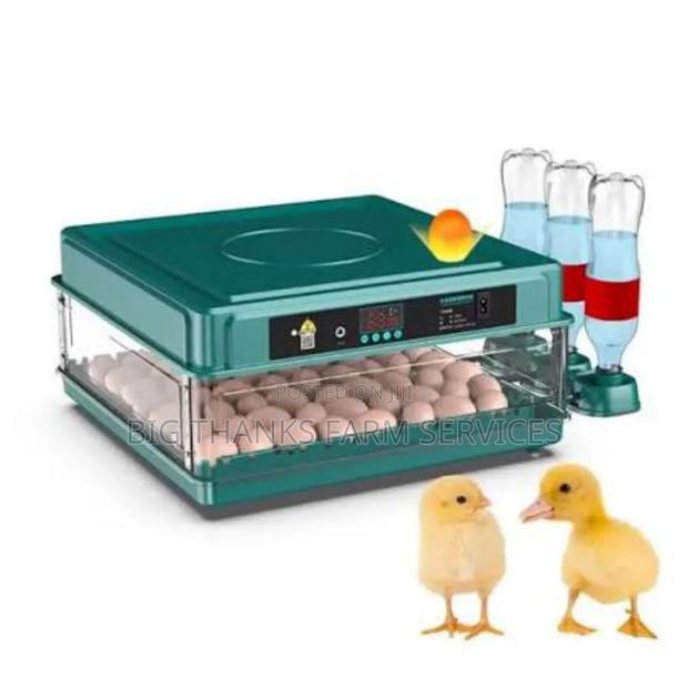 72 Egg Incubator · Photo 2