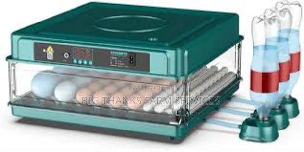 72 Egg Incubators, Dual Power · Photo 2