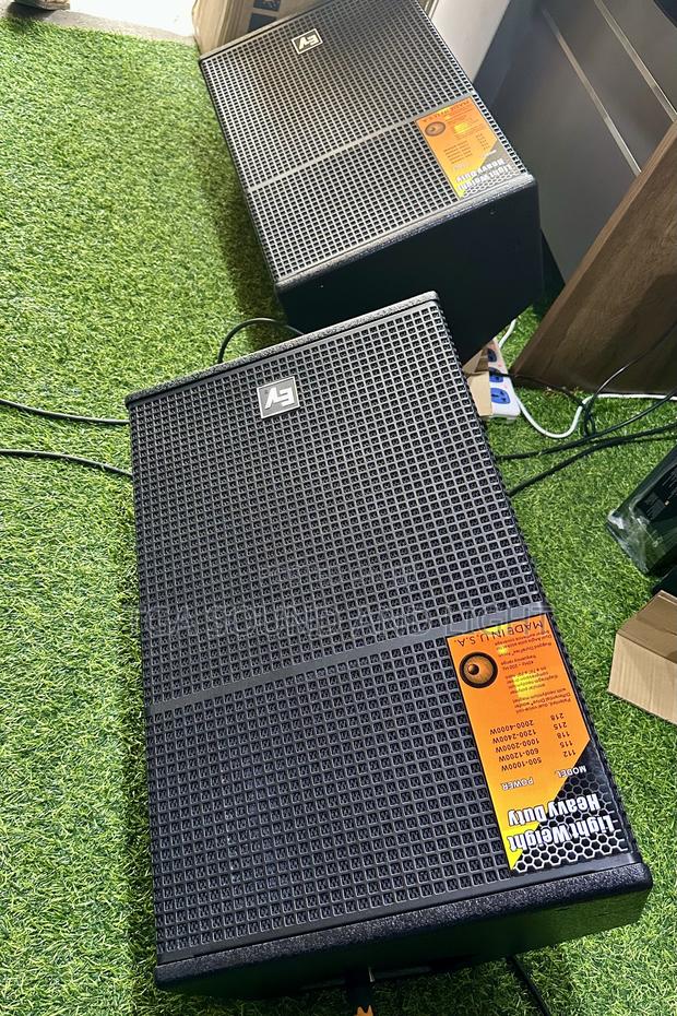 Ev 15 Inches Passive Dual Stage Monitors photo 3