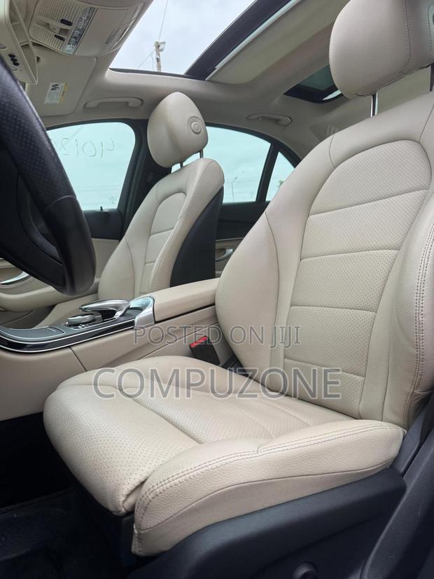 Mercedes-Benz C300 Luxury Sedan RWD (2.0L 4cyl 7A) 2016 White photo 6