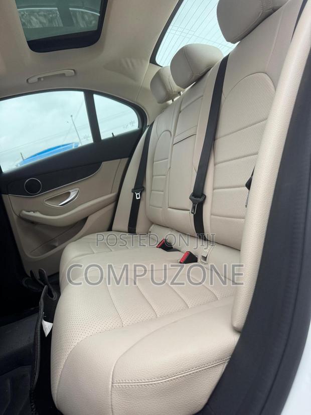 Mercedes-Benz C300 Luxury Sedan RWD (2.0L 4cyl 7A) 2016 White photo 10