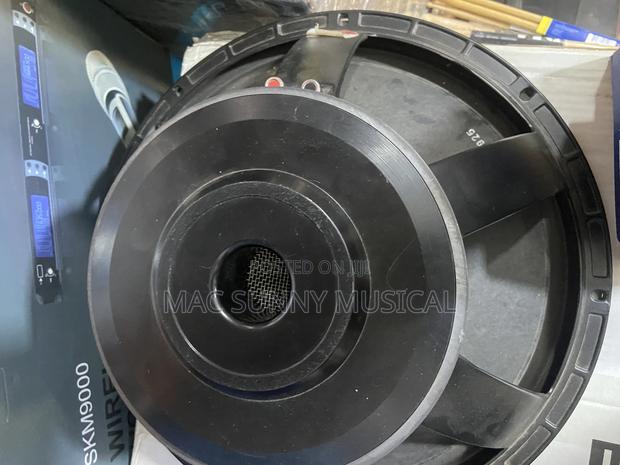 18” Naked Speaker Big Magnet photo 2