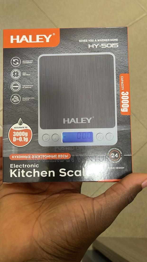 3kg Portable Scale