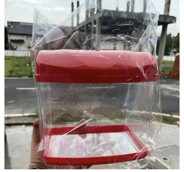 Mini Aquarium Tank · Photo 4
