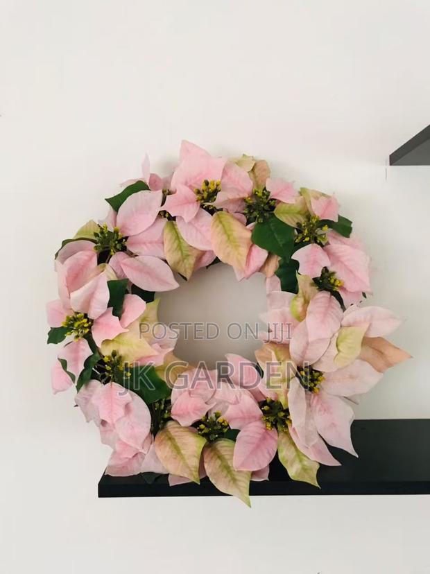 Christmas Flower photo 6