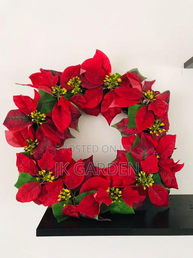 Christmas Flower photo 10