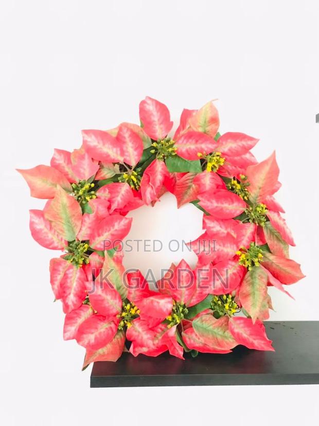 Christmas Flower photo 12