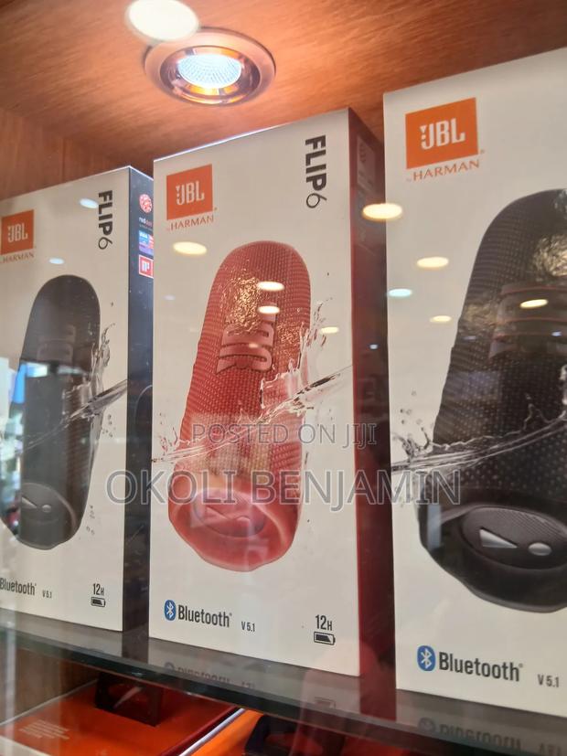 JBL Flip 6 Speaker