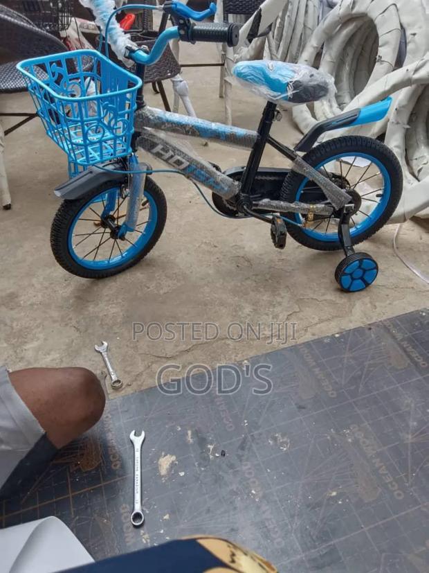 Kids Bicycle 2-5yrs Bluebird