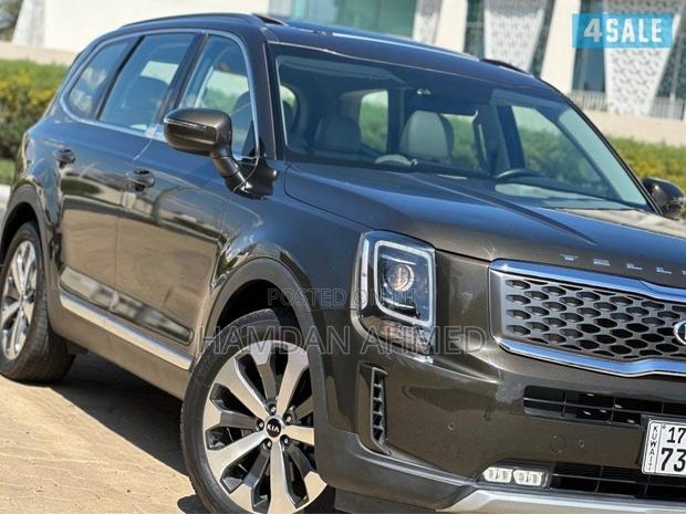 Kia Telluride 3.8 AWD 2020 Brown