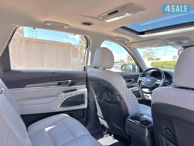 Kia Telluride 3.8 AWD 2020 Brown