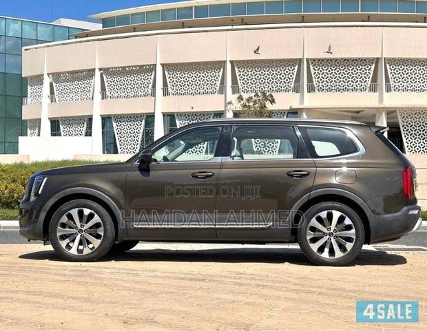Kia Telluride 3.8 AWD 2020 Brown