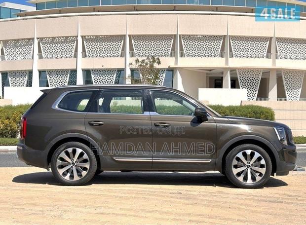 Kia Telluride 3.8 AWD 2020 Brown