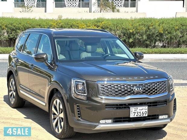 Kia Telluride 3.8 AWD 2020 Brown