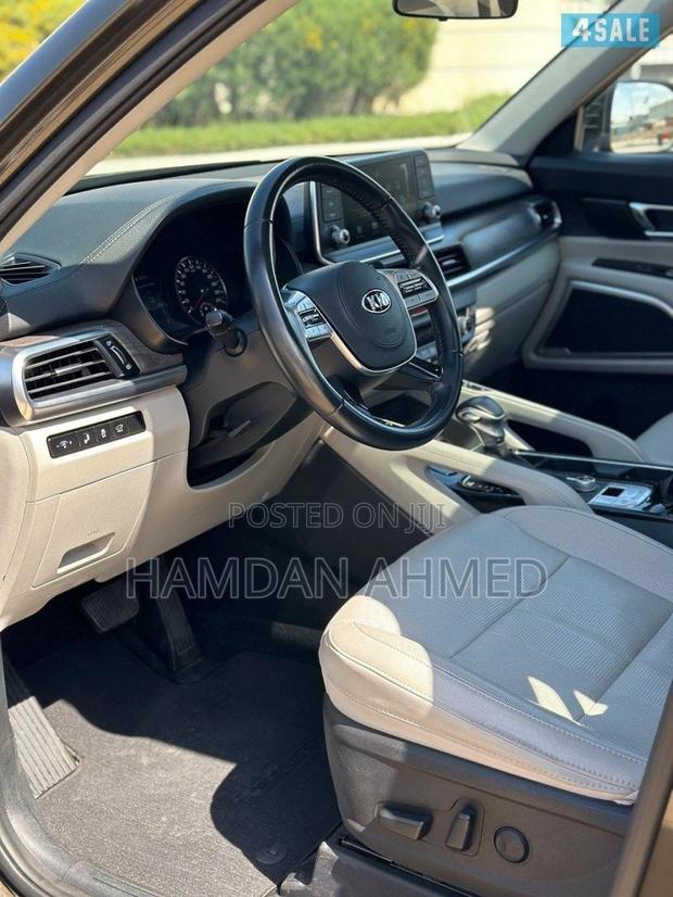 Kia Telluride 3.8 AWD 2020 Brown