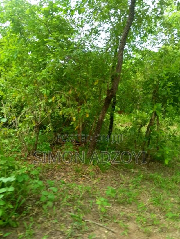 10,000 Acres Farm Land for Sale