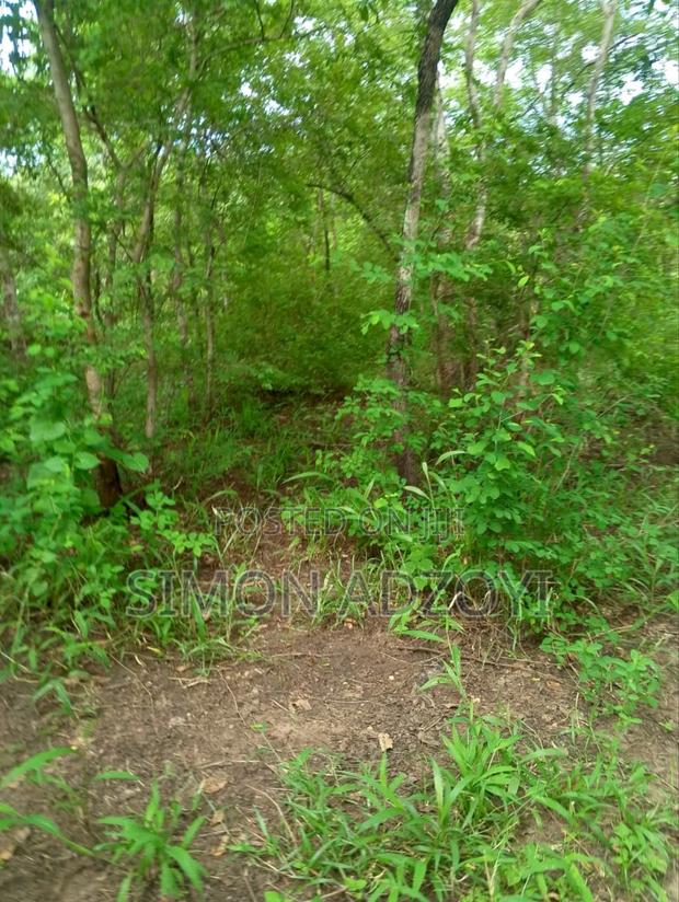 10,000 Acres Farm Land for Sale