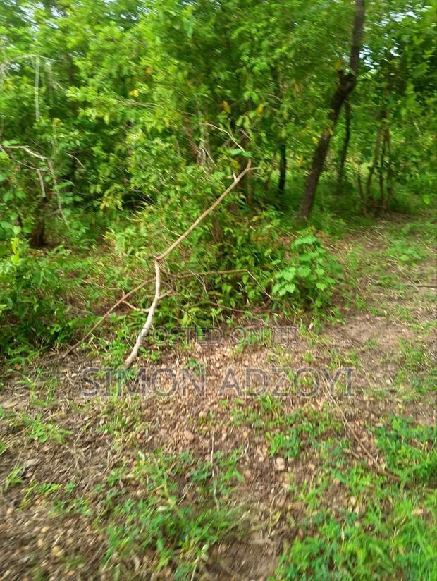 10,000 Acres Farm Land for Sale