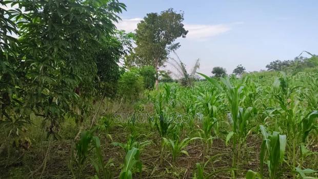 10,000 Acres Farm Land for Sale