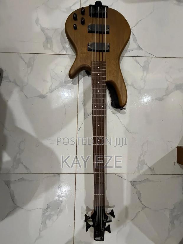 Bass Guitar