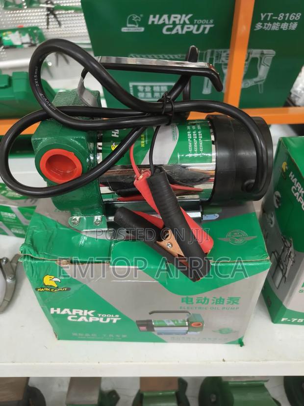 Hualang 12v Dc Oil Transfer Pump | Copper Motor Auto Reversing