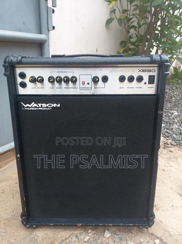 Series Microbass Xb30 Bass Combo With Lineout