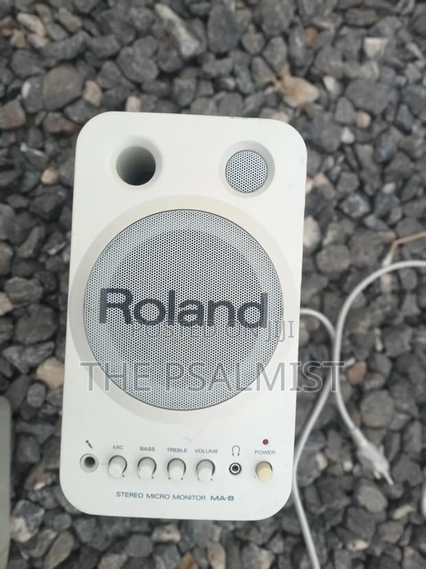Roland Ma 8 Monitor Studio Speakers photo 6