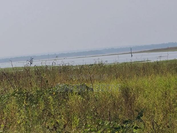 Volta River Front Farm Land for Long-Term Leases