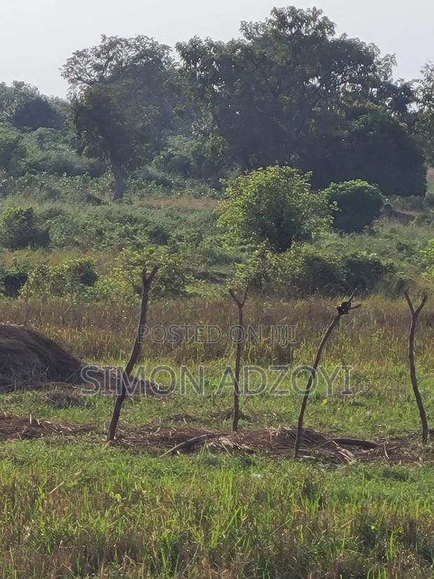 Volta River Front Farm Land for Long-Term Leases