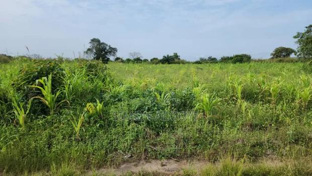 Volta River Front Farm Land for Long-Term Leases