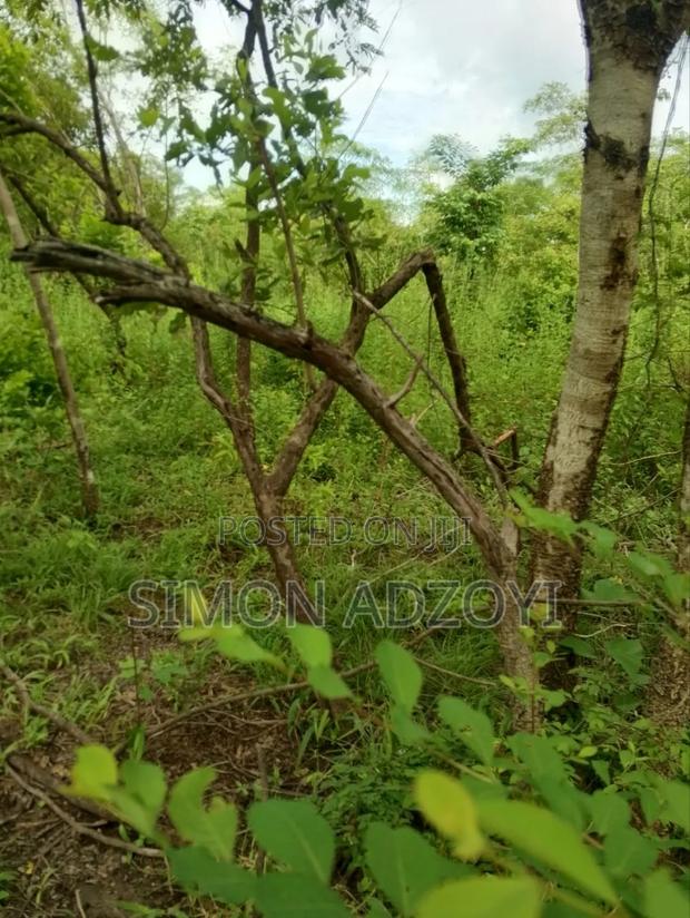 Volta River Front Farm Land for Long-Term Leases