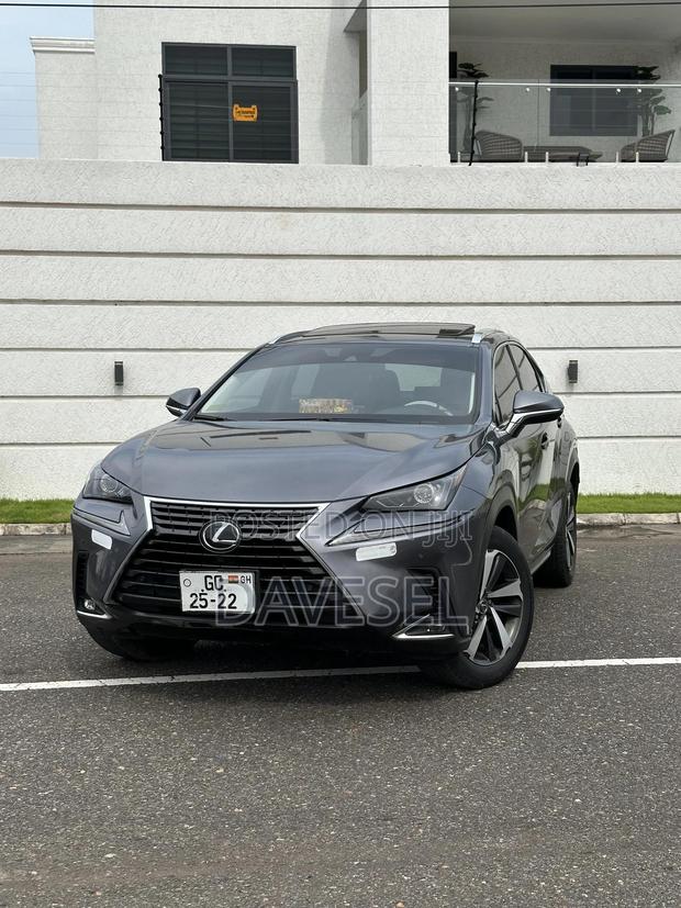 Lexus NX 2021 Silver