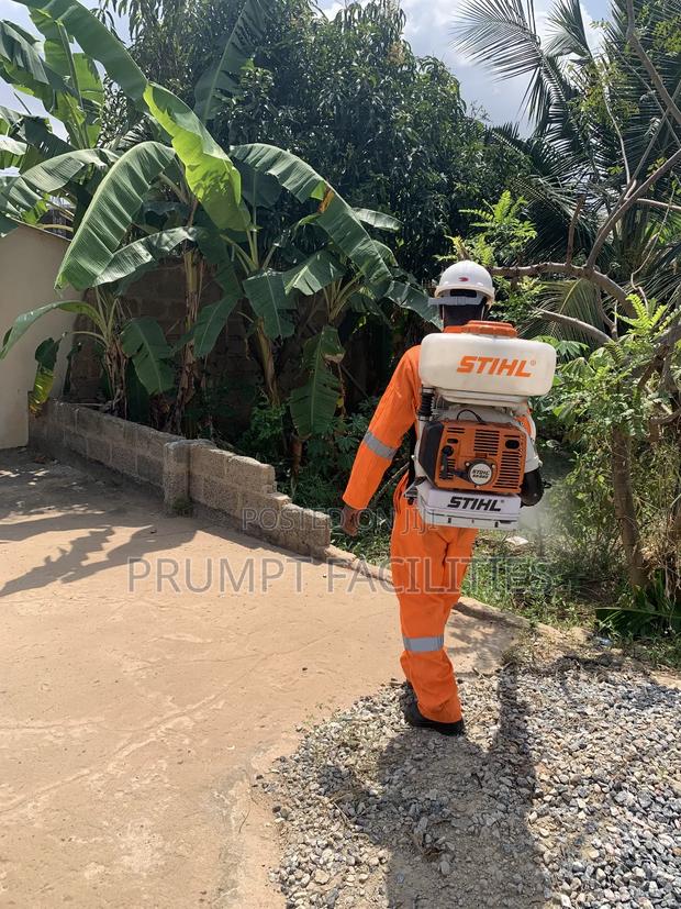Bedbugs Fumigation · Photo 4