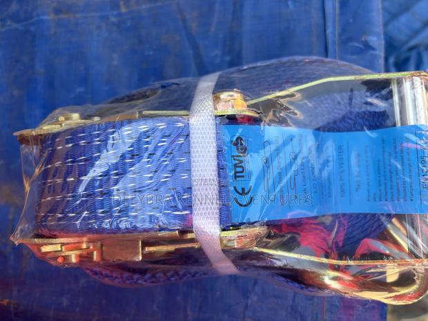 Container Belt photo 2
