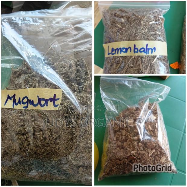 Lemon Balm, Mugwort, Mullien · Photo 2