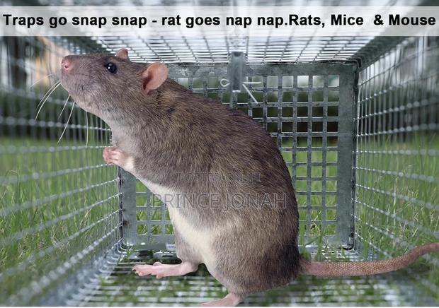 Rat Cage Trap, Live Multi-Catch Rat Trap photo 4
