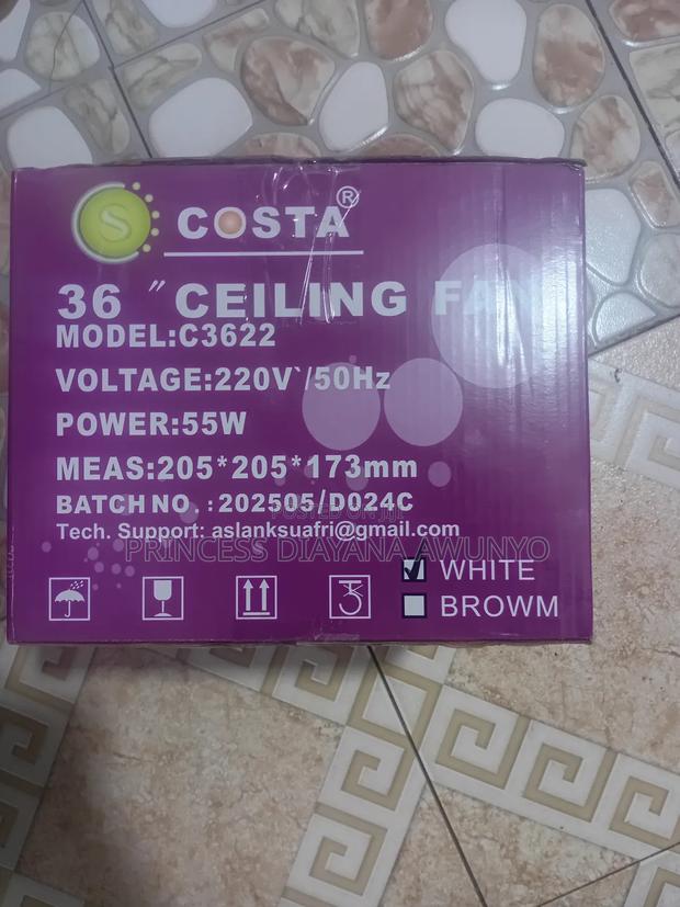 Costa Ceiling Fan(Medium Blade)(White) photo 3
