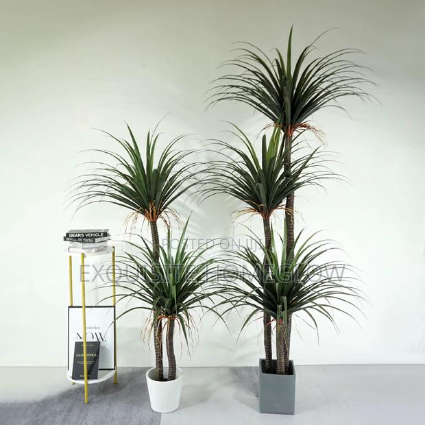 Faux Yucca Plant Available In 170cm photo 2
