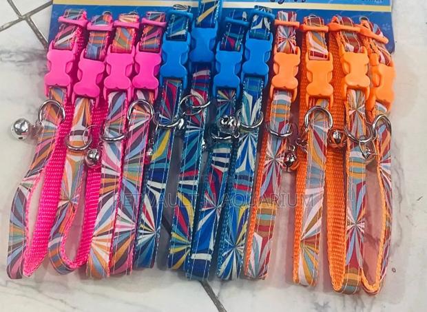 Puppy Collar · Photo 2