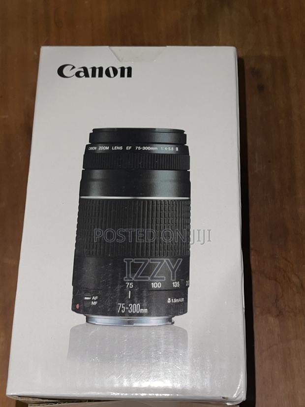 Canon 75-300mm Lens
