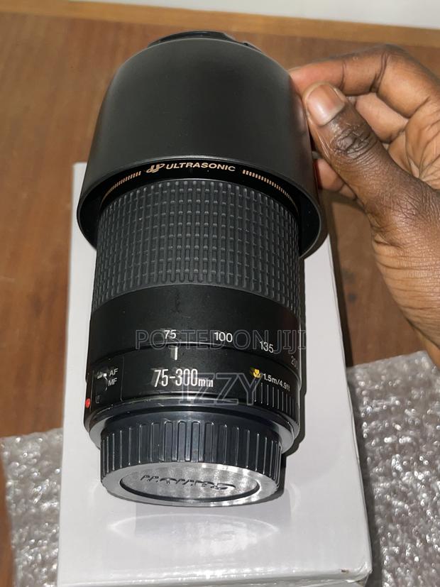 Canon 75-300mm Lens photo 3