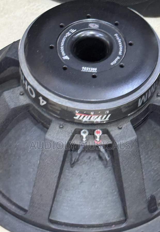 Titanic 21inches Bass Speaker photo 2
