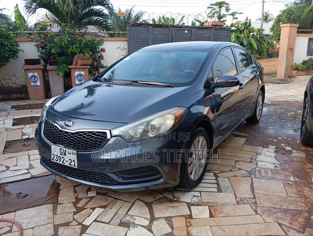 Kia Forte EX Sedan 2014 Gray