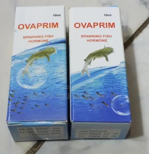 Over Prim for Aquarium Fishes · Photo 4