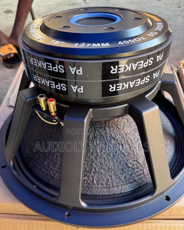 3000watt JLD Double Magnet Naked Speaker